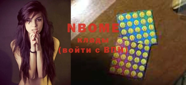 мдпв Осташков