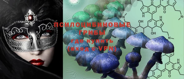 первитин Нея
