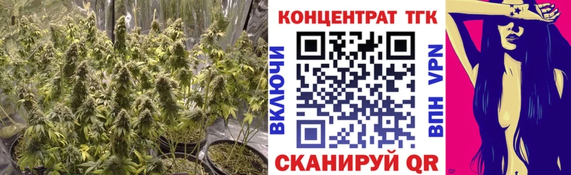 ТГК концентрат  blacksprut ссылка  Оленегорск 