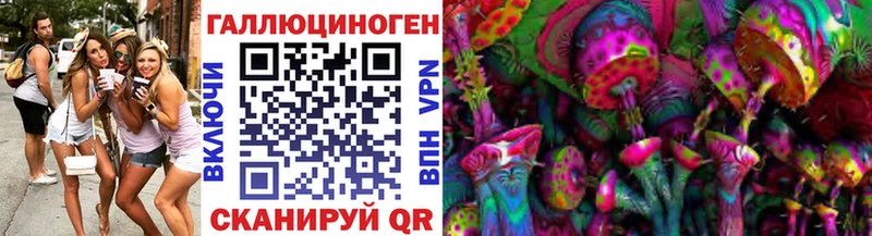 Псилоцибиновые грибы Psilocybe  Оленегорск 